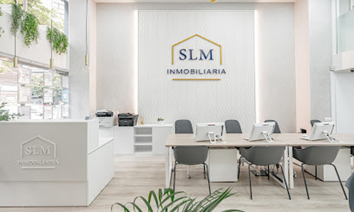GRUPO INMOBILIARIO SLM